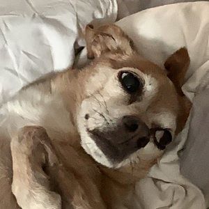 Meet your Posher, Gigi